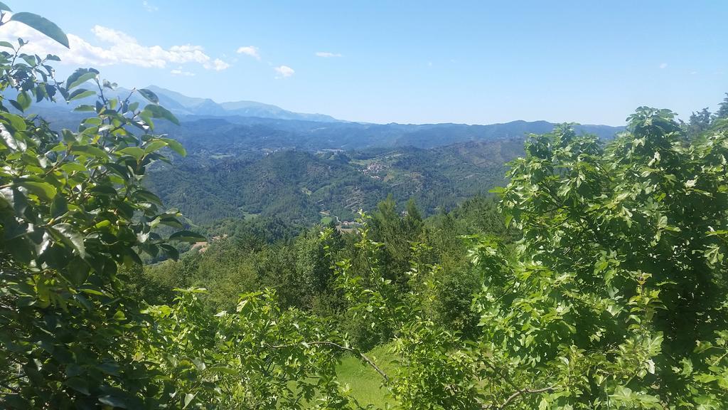 Fattoria La Cona Farm stay *