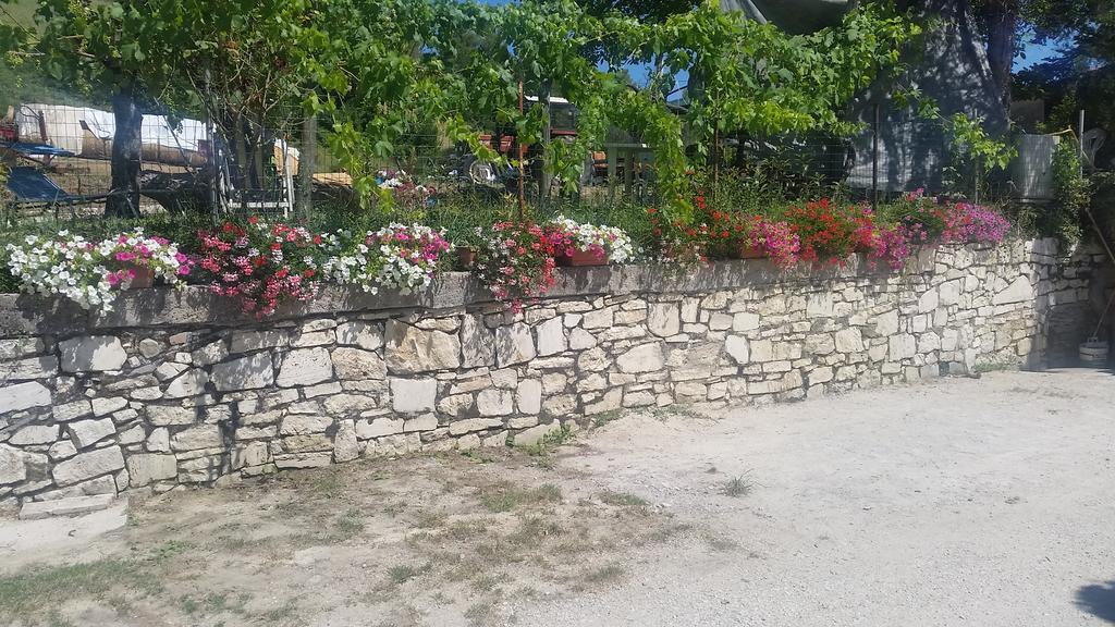 Farm stay Fattoria La Cona