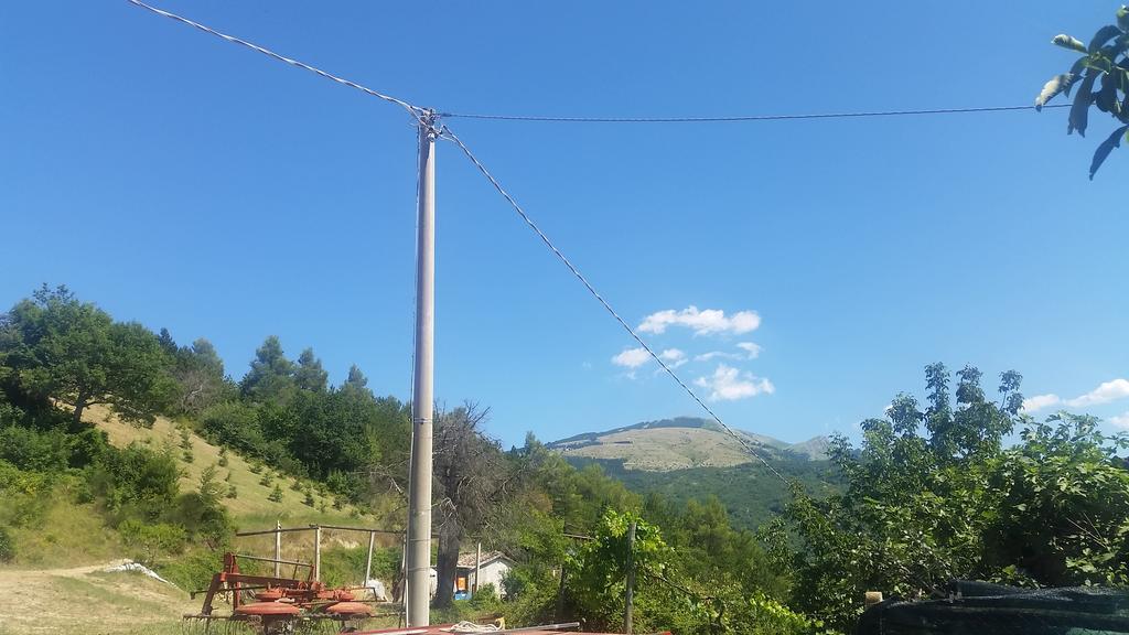 Fattoria La Cona Bauernhof *