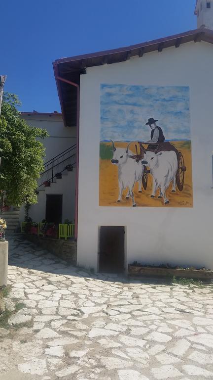 Farm stay Fattoria La Cona *