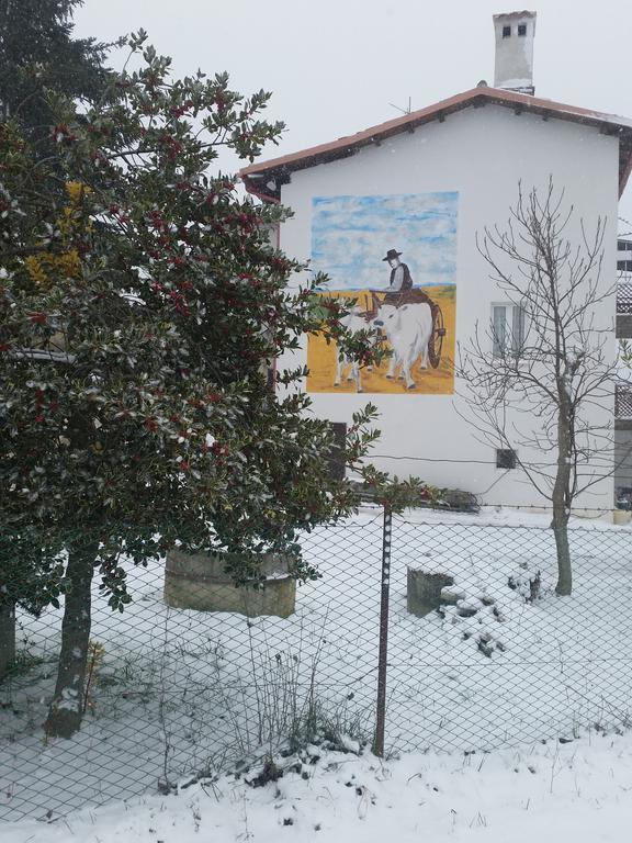 Fattoria La Cona Farm stay